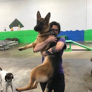 Meet your Posher, Thomas